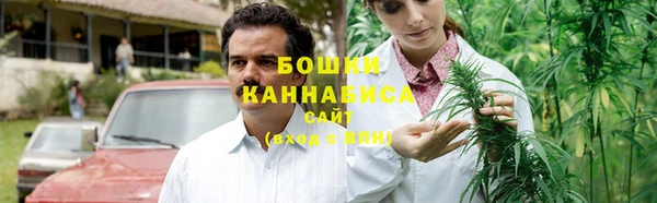 сатива Абаза