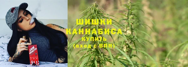 PSILOCYBIN Абдулино