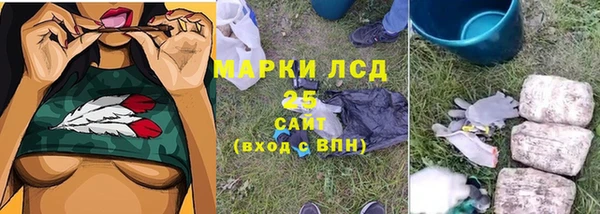 сатива Абаза