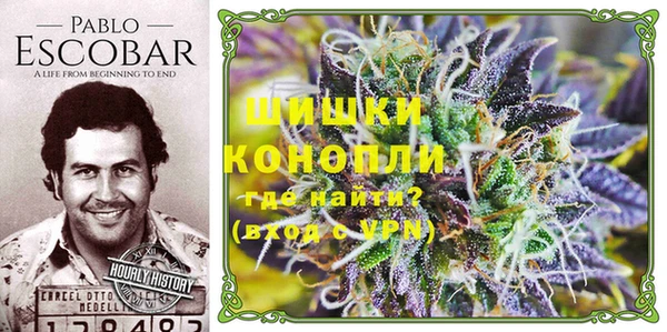 сатива Абаза