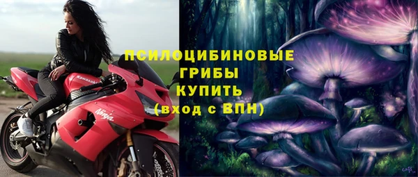 PSILOCYBIN Абдулино