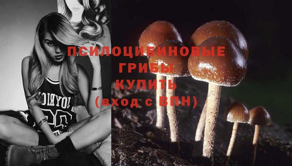 PSILOCYBIN Абдулино