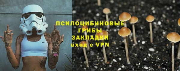 PSILOCYBIN Абдулино