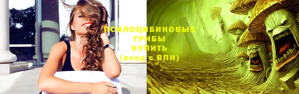 сатива Абаза