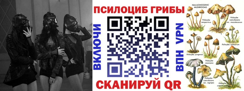 Псилоцибиновые грибы Magic Shrooms  где можно купить   Димитровград 